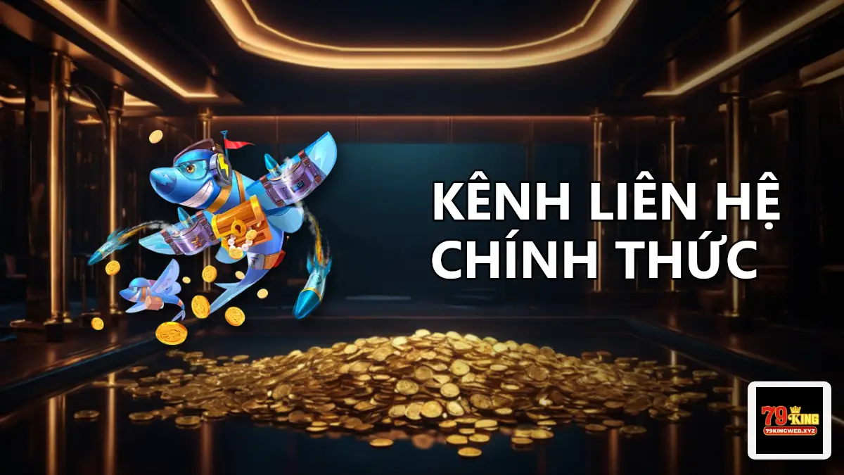 Khu vực thông tin liên hệ 79KING ở chân trang với hotline, email và địa chỉ